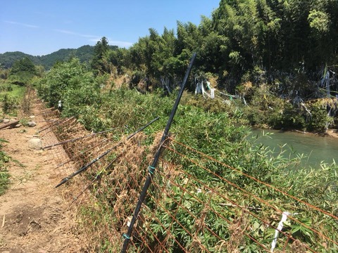 横山さん災害写真