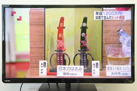 クローズアップ現代+③