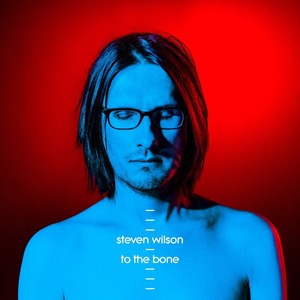 stevenwilson_tothebone