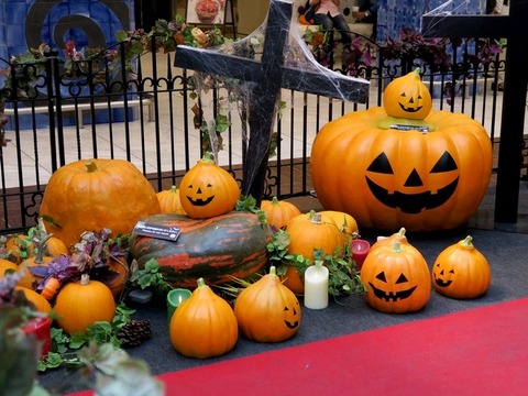 191028-02大きなカボチャ