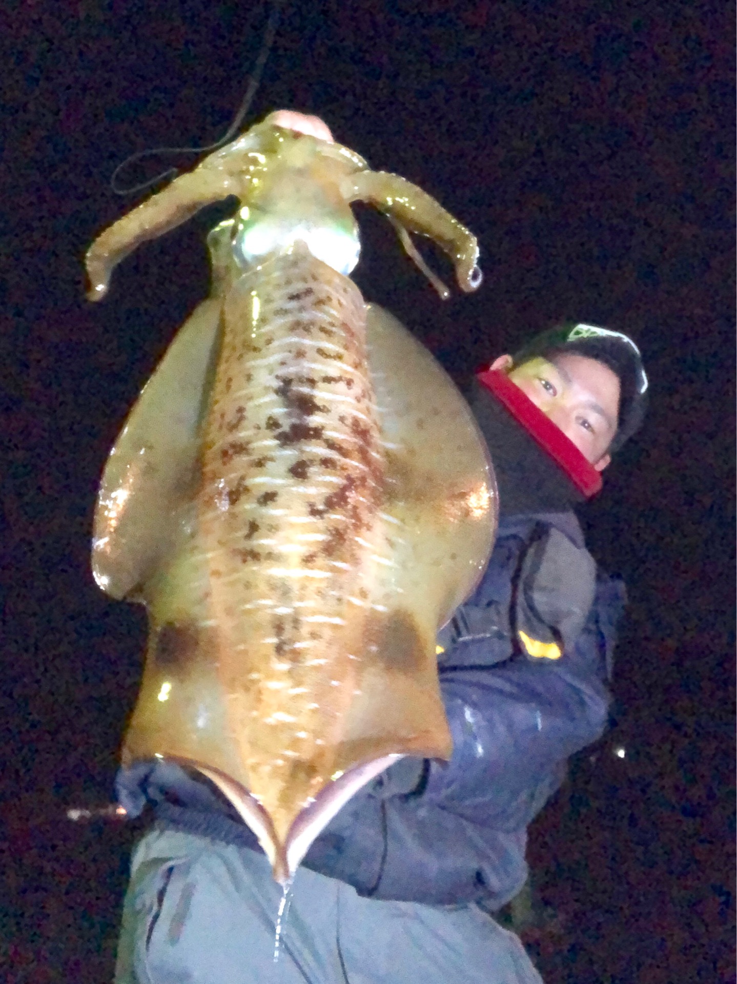 ミニマルエボロジーでメバル おまけ付 Todays Fishing ミニマルエボロジーでメバル おまけ付 Todays Fishing