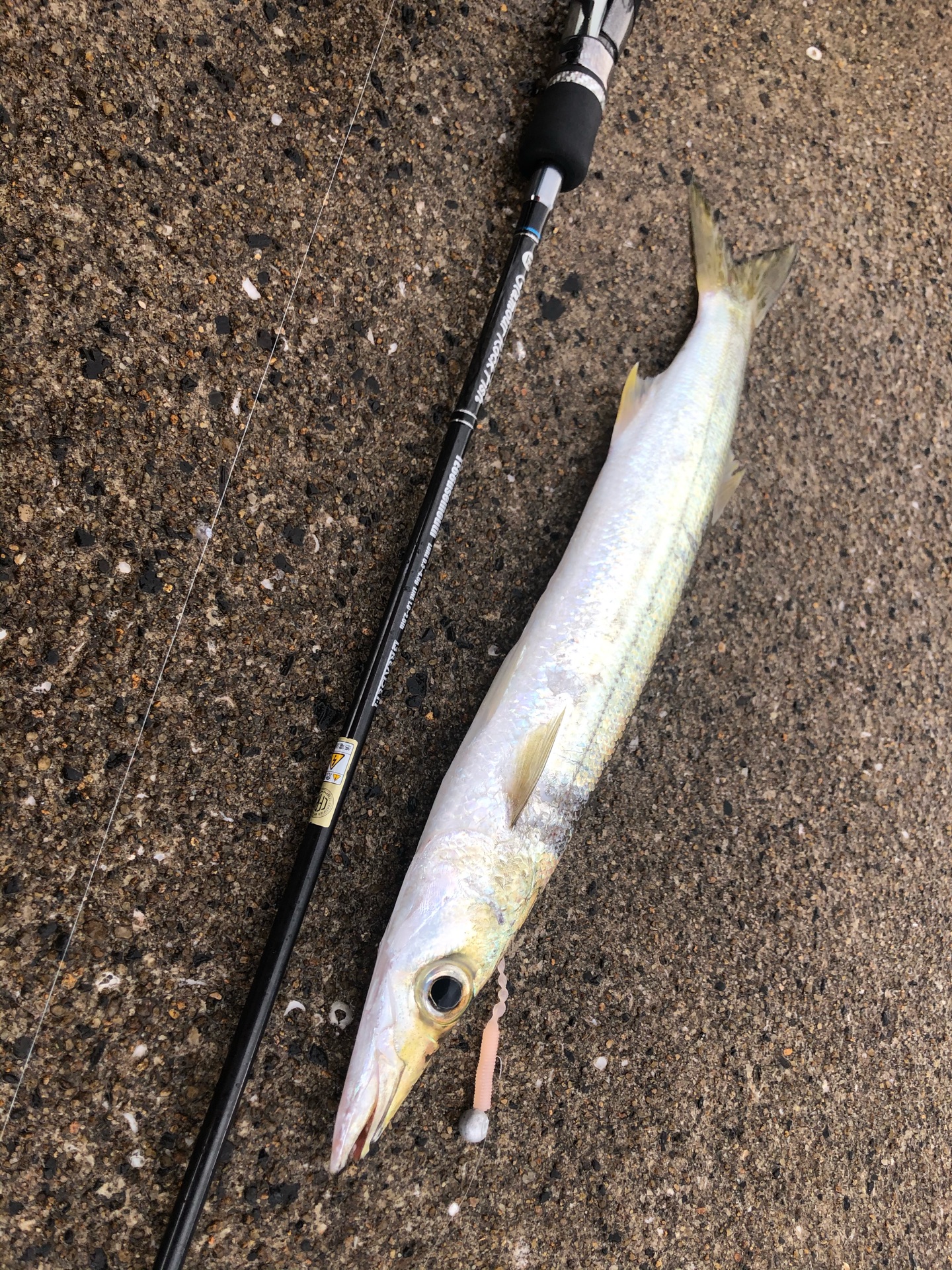 Breaden Times Todays Fishing