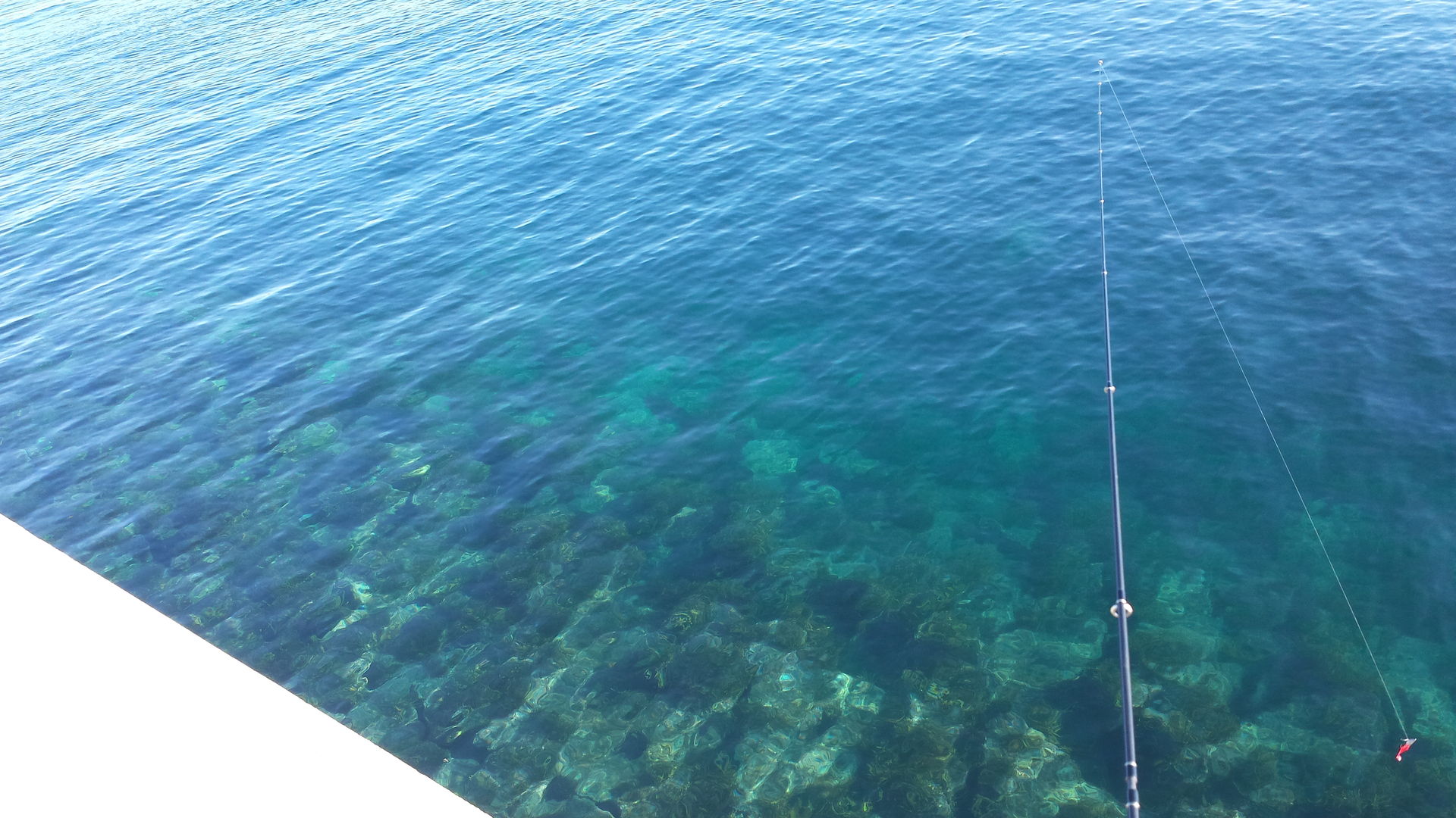 離島の旅 Todays Fishing 離島の旅 Todays Fishing