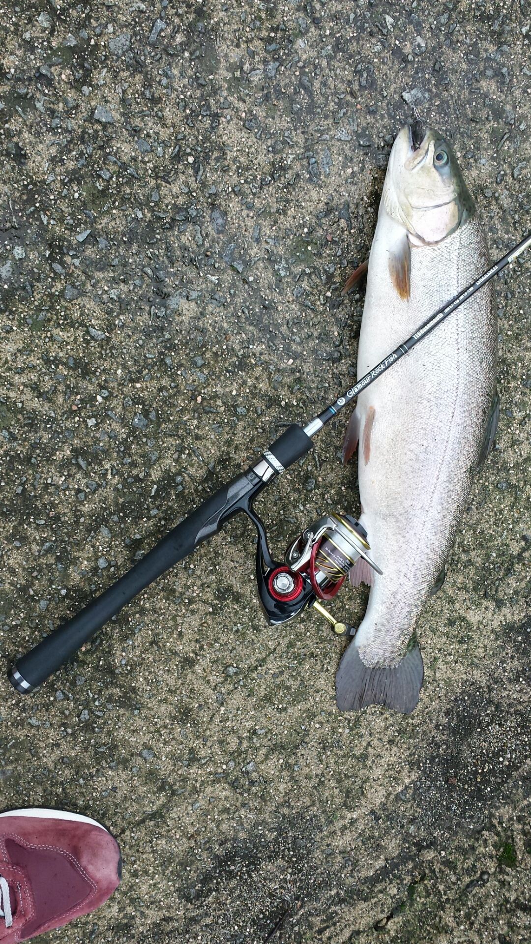 再びフィッシングレイクたかみや Todays Fishing 再びフィッシングレイクたかみや Todays Fishing