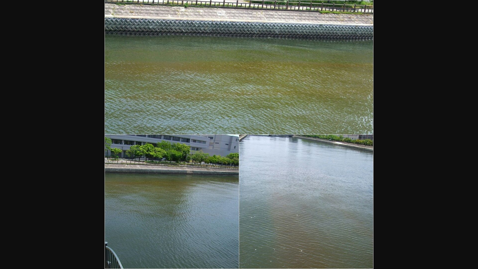 博多湾 Todays Fishing 博多湾 Todays Fishing