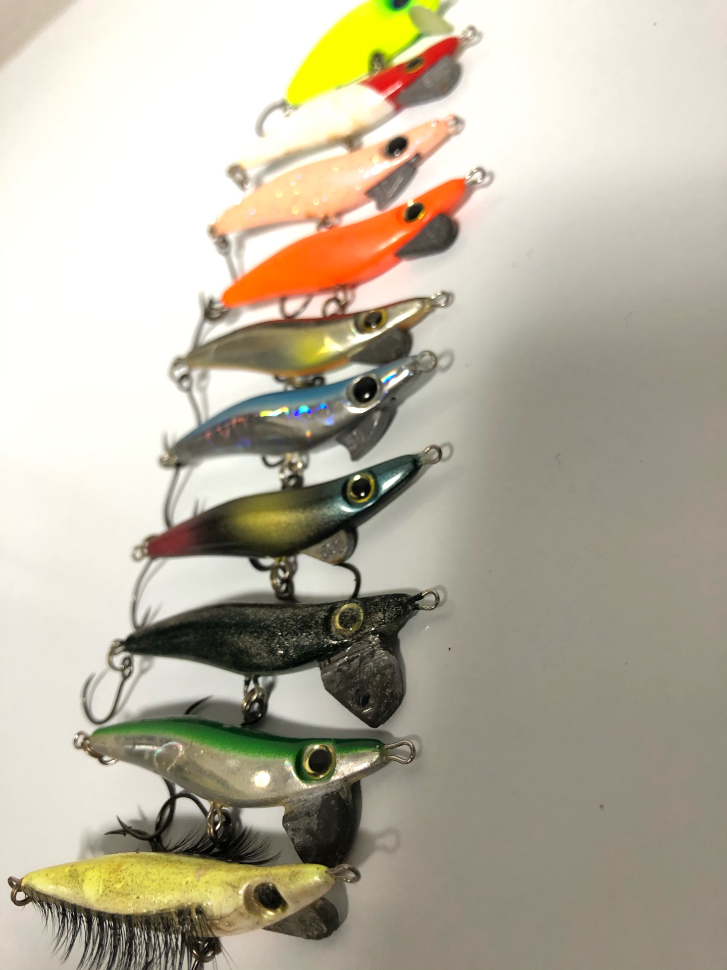 管理釣り場でミニマルゲームだー Todays Fishing