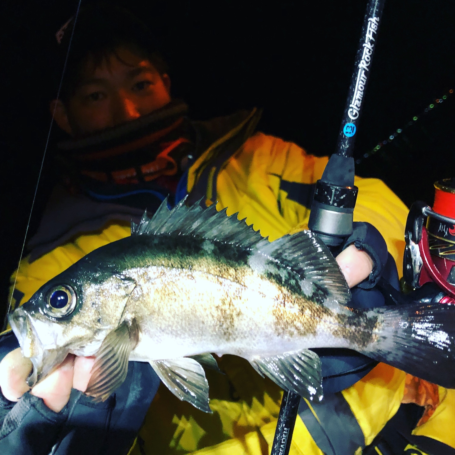 ボートメバルin広島 Todays Fishing