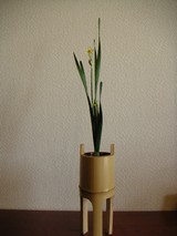 30d33619.jpg