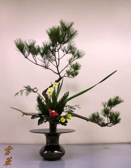 古典立花教室3年生冬胴束縮小版