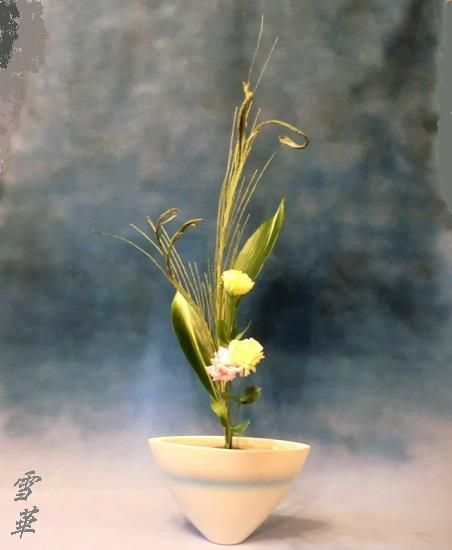20170208生花三種石化エニシダ縮小版