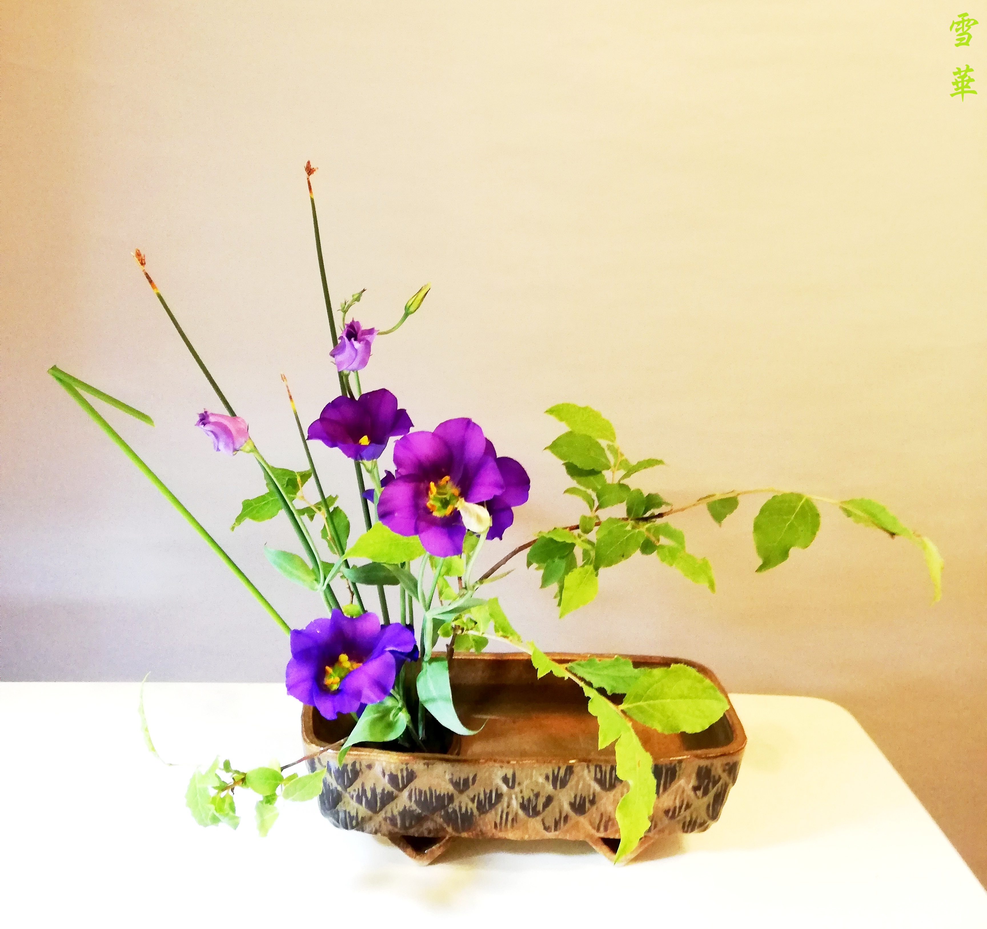 雪華と うふふ 池坊いけばな リビングをお庭にする方法 雪華と うふふ 池坊いけばな リビングをお庭にする方法