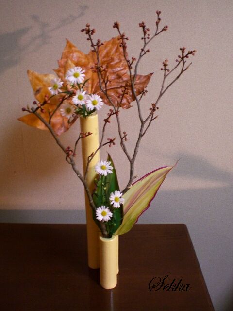 雪華と うふふ 池坊いけばな やっぱり 冬です さぶ