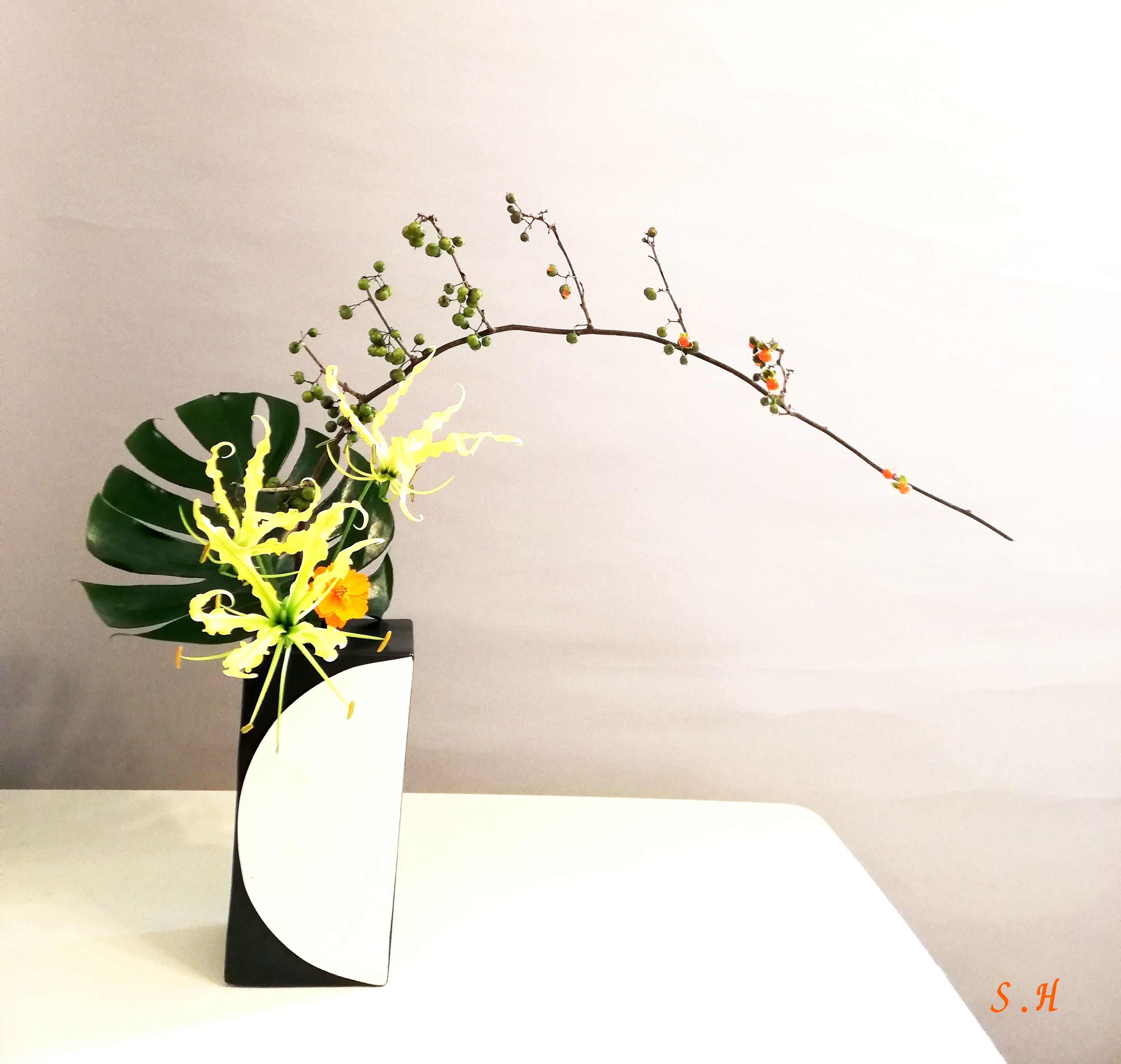 falkovideo 第34回日本協同組合学会・春季研究大会「経済のグローバル化と地域・社会・協同の新しい形－「メゾ領域」における協同の主体形成に向けて－」が開催されました。  - HP