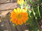 632d9a5f.jpg