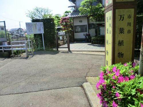 入口付近市川万葉植物園