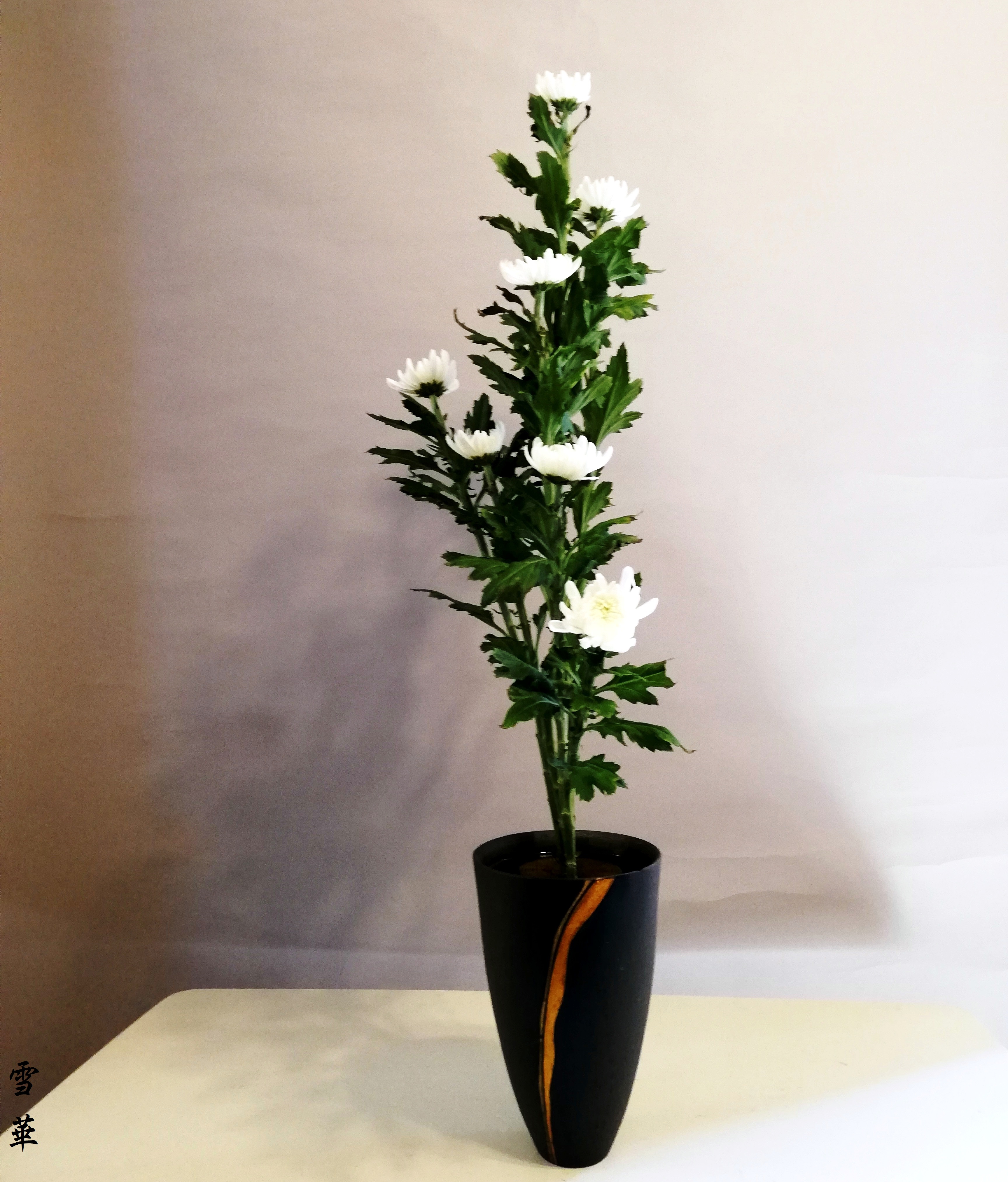 雪華と うふふ 池坊いけばな 菊の季節