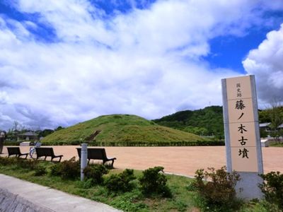 奈良藤ノ木古墳縮小版5485