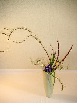 雪華と うふふ 池坊いけばな いけばな教室 2006 2 8 ふんわーり 雪柳 雪華と うふふ 池坊いけばな いけばな教室 2006 2 8 ふんわーり 雪柳