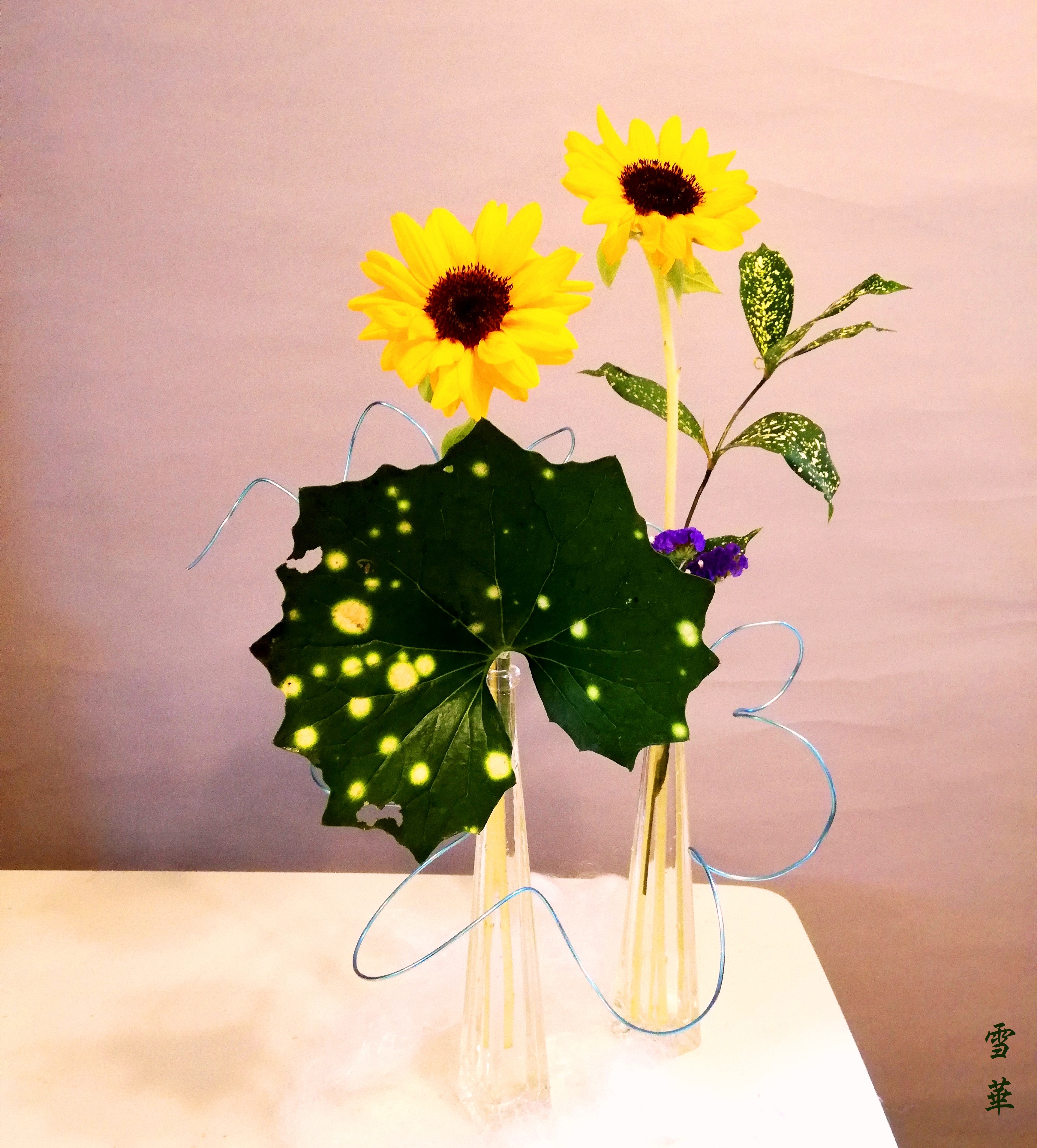 雪華と うふふ 池坊いけばな ひまわり