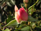 af5eb917.jpg