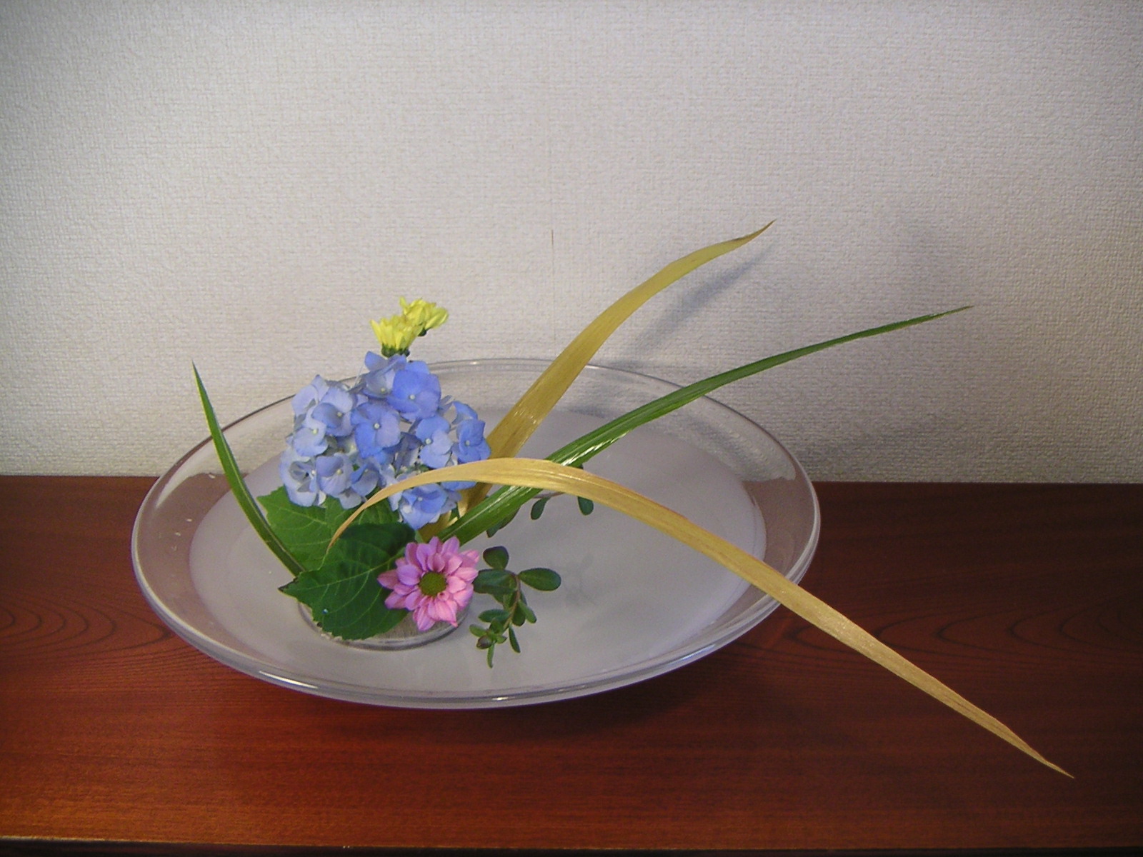 雪華と うふふ 池坊いけばな あじさいを生けました 雪華と うふふ 池坊いけばな あじさいを生けました