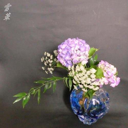 雪華と うふふ 池坊いけばな 紫陽花の季節 再び