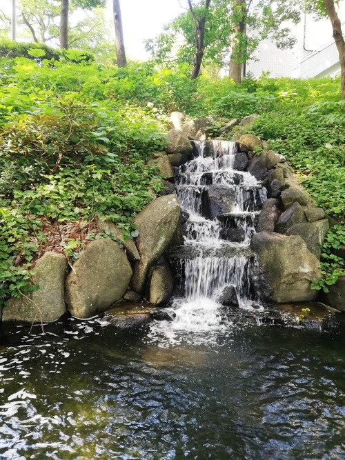柏あけぼの山農業公園2