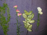 ca80e255.jpg