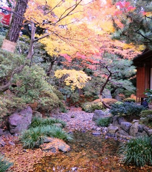 2012紅葉、知恩院友禅苑4