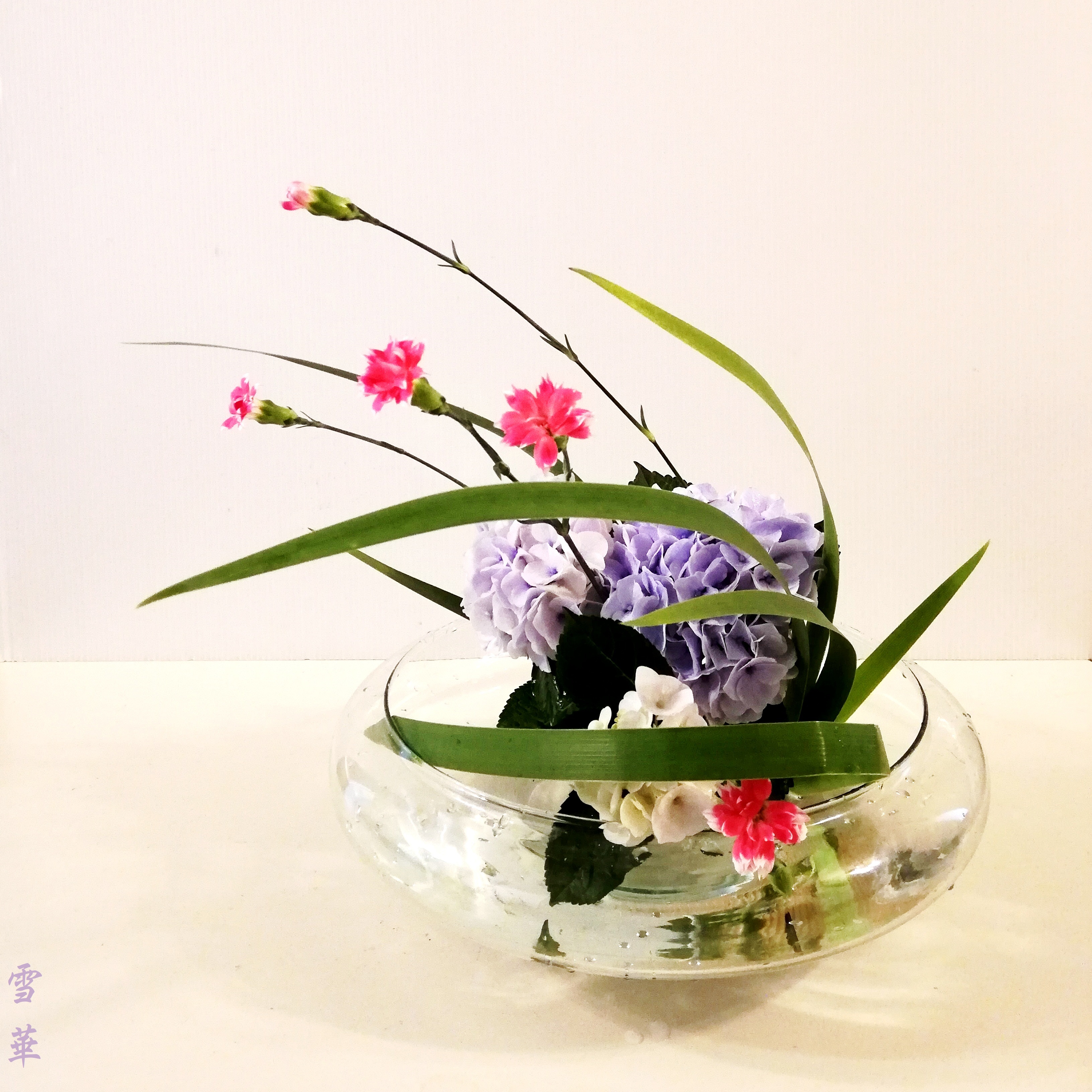雪華と うふふ 池坊いけばな 紫陽花 雪華と うふふ 池坊いけばな 紫陽花
