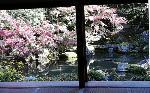 20201115蓮華寺庭園を座敷から眺める