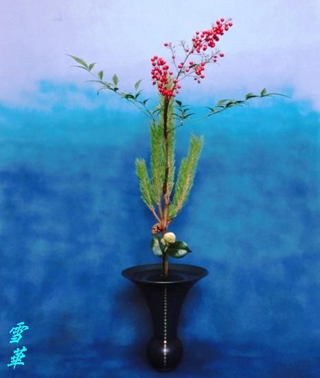 雪華と うふふ 池坊いけばな 椿の開花はお正月の楽しみに 雪華と うふふ 池坊いけばな 椿の開花はお正月の楽しみに