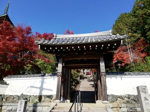 20201115三明院 山門jpg