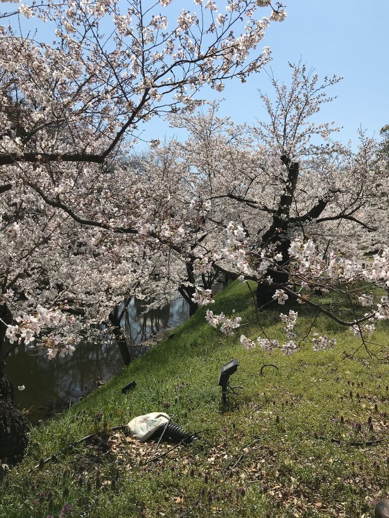 詩小説 コント ポエム 上田城の花幻影 急 伊藤昭一 暮らしのノートito 詩小説 コント ポエム 上田城の花幻影 急 伊藤昭一 暮らしのノートito