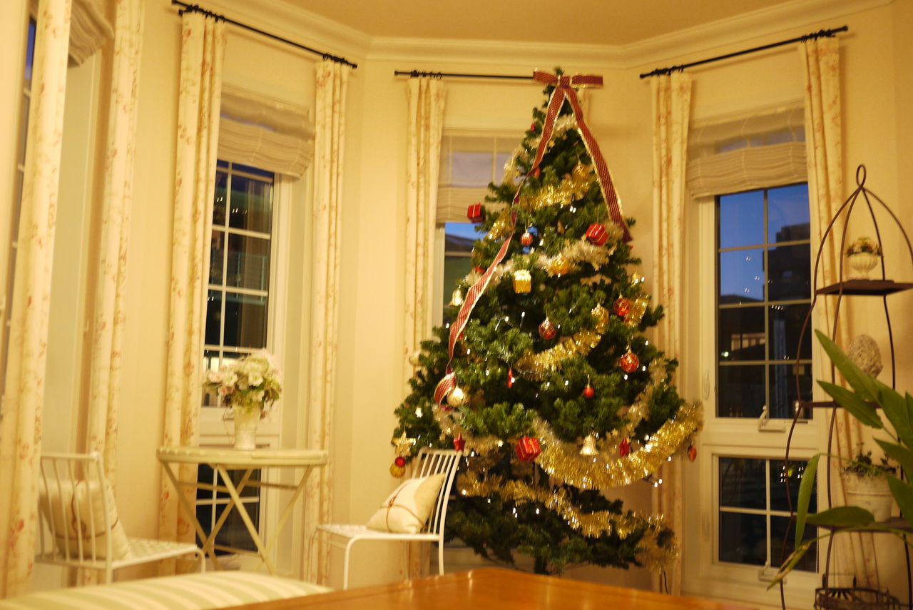 レンガの家とクリスマスツリー 彡 セルコホーム 横浜 Ko Taの成長日記