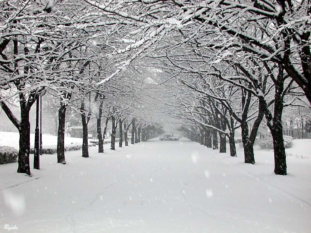 国境の長いトンネルを抜けると雪国であった セルコホーム博多スタッフブログ 国境の長いトンネルを抜けると雪国であった セルコホーム博多スタッフブログ