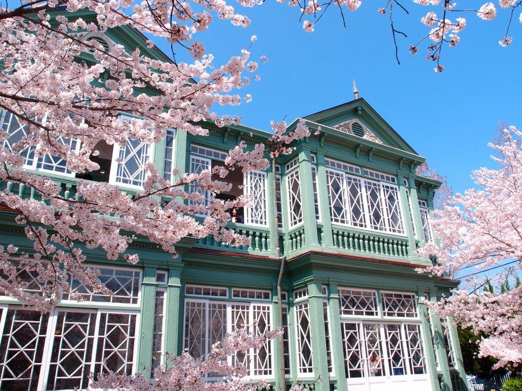 旧ハンター住宅の桜 好き の抽斗