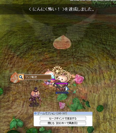 Roメモ せれねのにゃんこro
