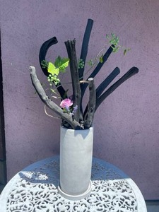 IMG_8195��60��ǯ