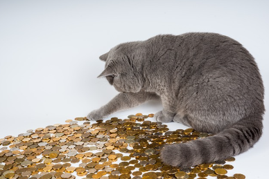 借金