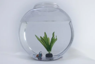 水槽