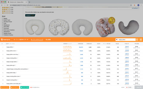 sellersprite-chrome-guide-04