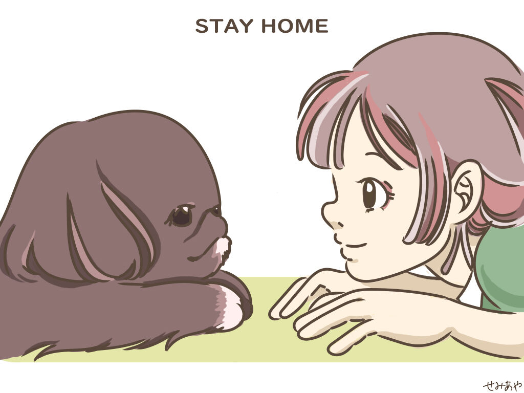 おやすみイラスト 女一人 犬二匹 おやすみイラスト 女一人 犬二匹