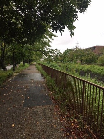 20180910_遊歩道