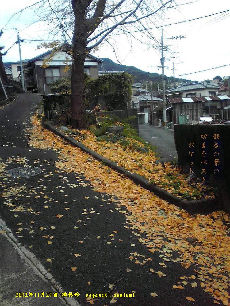 裸木の銀杏 蝉海 Semiumi の写真俳句blog 裸木の銀杏 蝉海 Semiumi の写真俳句blog