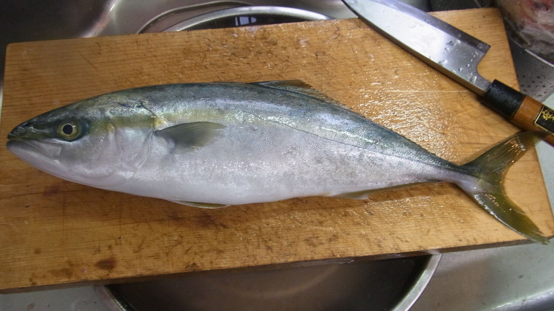 19年 年末年始に向けてのお魚 さん Sinの通勤運動 独逸生活 旅行 建築 家 19年 年末年始に向けてのお魚 さん Sinの通勤運動 独逸生活 旅行 建築 家