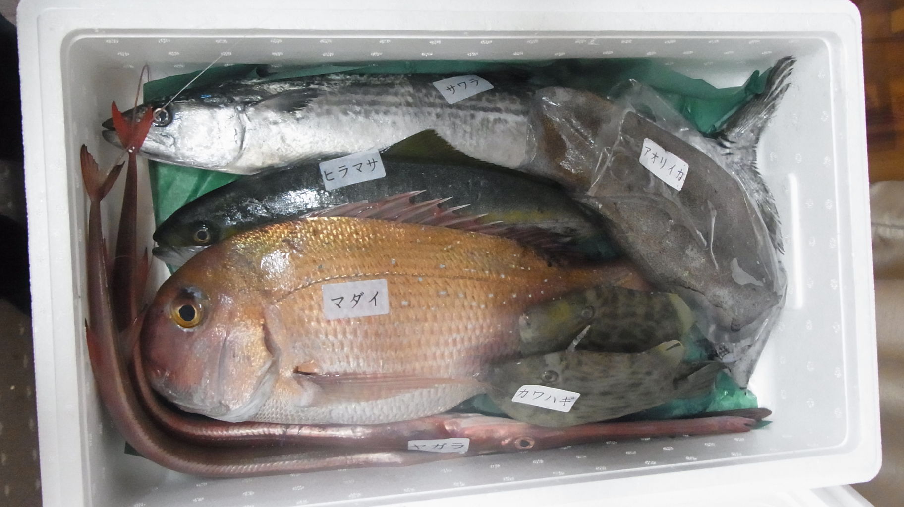 12月末にも鮮魚を発注 Sinの通勤運動 独生活 旅行 建築 家 12月末にも鮮魚を発注 Sinの通勤運動 独生活 旅行 建築 家