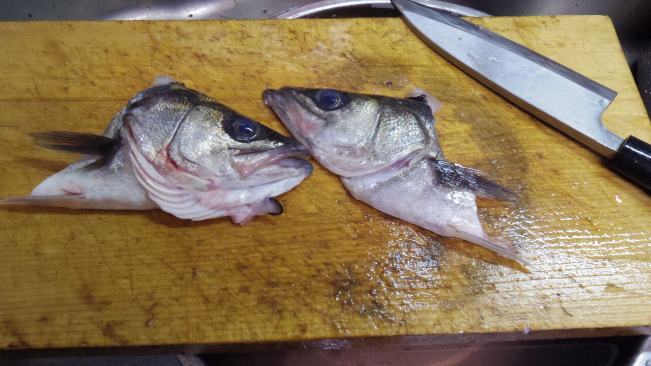 年4月 末のお魚 さん Sinの通勤運動 独逸生活 旅行 建築 家 年4月 末のお魚 さん Sinの通勤運動 独逸生活 旅行 建築 家