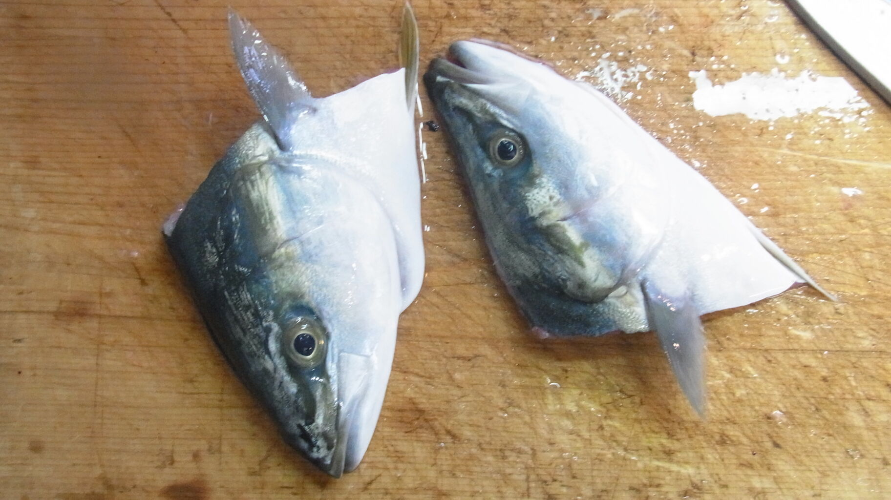 19年 年末年始に向けてのお魚 さん Sinの通勤運動 独逸生活 旅行 建築 家 19年 年末年始に向けてのお魚 さん Sinの通勤運動 独逸生活 旅行 建築 家