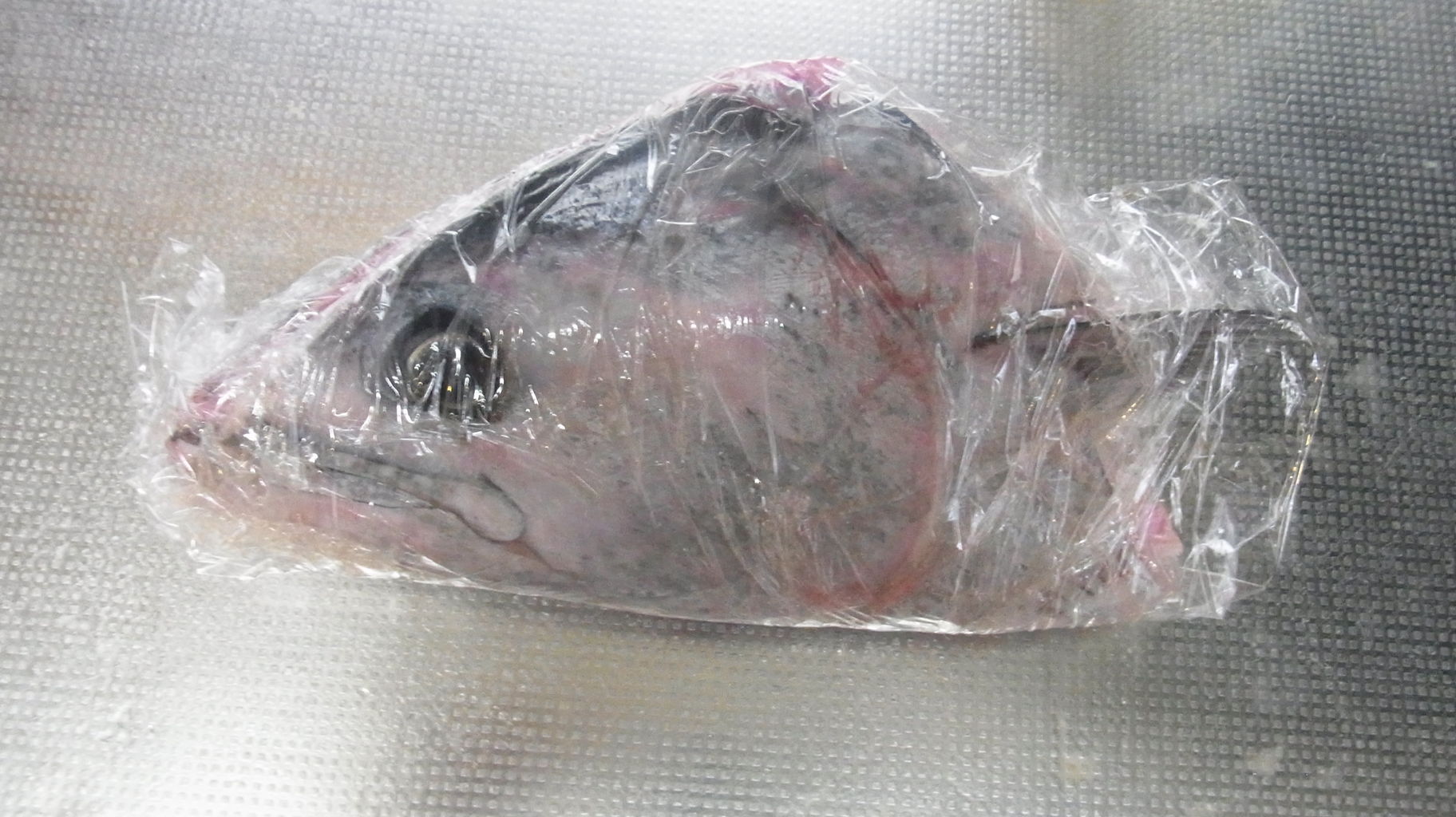 アンコウ来た 19年2月もお魚を通販 Sinの通勤運動 独逸生活 旅行 建築 家